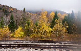 Картинка осень, деревья, рельсы, Nature, trees, горы, autumn, туман