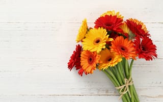 Картинка желтый, красный, lovely, bouquets, gerberas, букет, герберы
