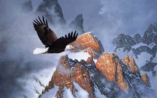 Картинка белоголовый орел, полёт, живопись, горы, орёл, облака, снег, зима