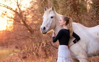 Картинка конь, девушка, природа