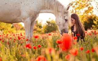 Картинка лето, природа, девушка, конь