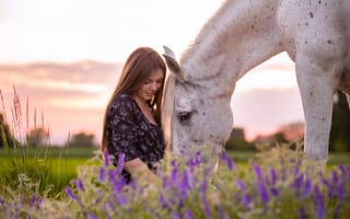 Картинка девушка, конь, природа