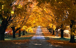 Картинка времена года, природа, осень, деревья, парк