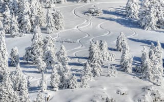 Картинка Деревья, Пейзаж, Снег, Зима, Природа