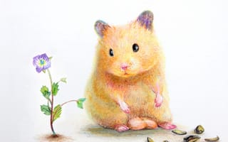 Картинка цветы, хомяк, скорлупа