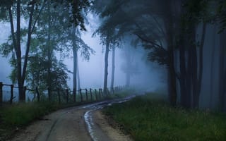 Картинка туман, дорога, неизвестность