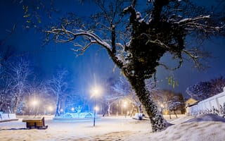 Обои парк, город, снег, вечер, лавки, деревья, свет, зима, дерево, лавочки