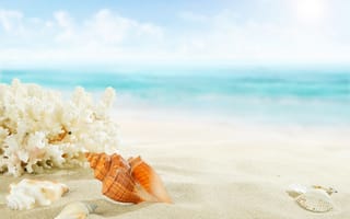 Картинка paradise, shore, sea, море, ракушки, starfish, sand, пляж, blue, песок, seashells, берег, beach, summer