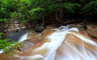 Картинка лес, река, waterfall, forest, камни, Водопад, поток