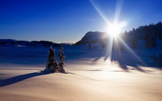 Картинка пейзаж, зима, свет, снег