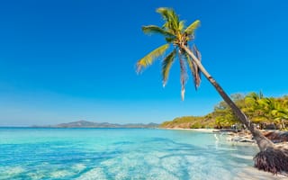 Обои песок, beach, sea, paradise, palms, summer, tropical, shore, море, пальмы, берег, sand, пляж