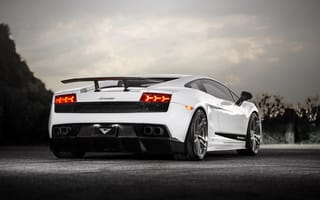 Обои Lamborghini, back, гайярдо, небо, white, gallardo, LP570-4, ламборгини, vorsteiner, Superleggera, белый