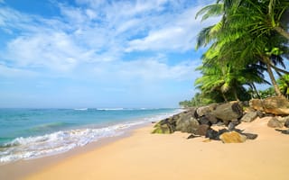 Обои песок, море, sea, palms, paradise, summer, sand, tropical, берег, пляж, beach, пальмы, shore
