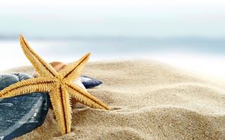 Картинка paradise, sand, beach, песок, берег, пляж, sea, starfish, summer, shore, seashells, ракушки, море, blue