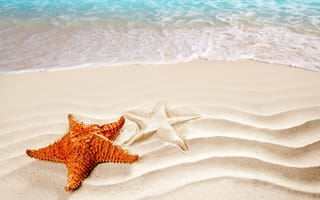 Картинка песок, силуэт, пляж, морская звезда, море, прибой
