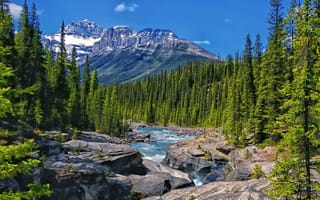 Обои Mistaya River, Канада, река, Canada, лес, скалы, деревья, горы, Alberta, Альберта