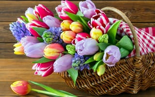 Картинка цветы, тюльпаны, гиацинты, корзинка