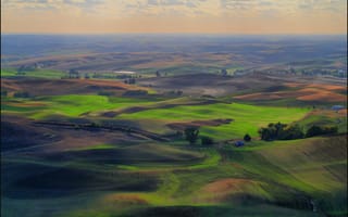 Картинка поле, трава, луг, Palouse, пашня, холмы, сельская местность, зеленый