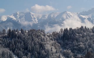 Картинка Трансильвания, лес, зима, горы, Карпаты, ели, Румыния
