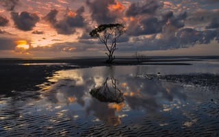 Картинка Австралия, вечер, небо, облака, вода, дерево, Квинсленд, тучи, отражения, Lizzie Photography