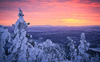 Картинка Финляндия, январь, закат, Sampsa Wesslin рhotography, снег, лес, небо, Лапландия, зима