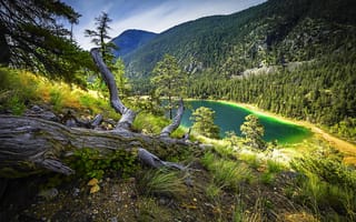 Картинка forest, mountain, dry grass, turquoise lake, trees