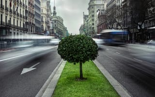 Картинка движение, выдержка, Испания, автомобили, Dido Mihajlov Photography, Европа, дерево, улица, машины, зеленое, дороги, Мадрид, город