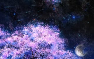 Картинка арт, дерево, сакура, ночь, звезды, луна, tsujiki, космос