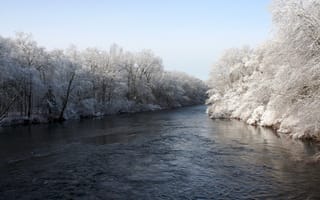 Обои река, деревья, зима