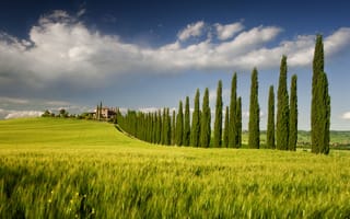 Картинка Италия, деревья, небо, поле, весна, Кампанья, дом