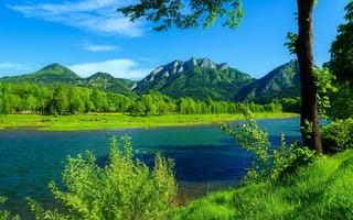 Картинка forest, river, Poland, green grass, mountains, Dunajec, blue sky