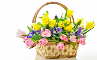 Картинка flowers, tulips, корзина, тюльпаны, basket, bouquet