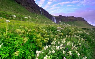 Картинка Исландия, облака, горы, небо, утро, водопад, цветы, холмы, голубое, сиреневое, трава, зелень