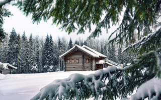 Картинка зима, снег, ели, хвоя, деревья, лапы, дом, ветки