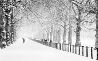 Обои зима, снег, деревья, дорога, люди, Лондон, парк, город