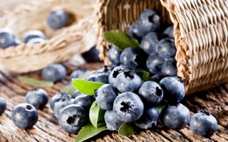 Обои berries, fresh, blueberry, ягоды, черника