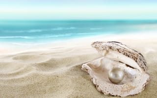 Картинка ракушка, sea, sand, жемчужина, пляж, seashell, песок, море, beach, shore, perl