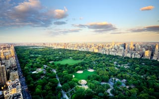 Картинка Центральный парк, США, дома, деревья, Нью-Йорк