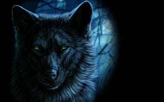 Картинка взгляд, волк, wolfroad, зеленые глаза, арт