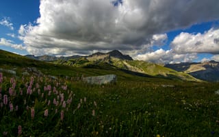 Картинка горы, трава, облака, Colmars, луг, камни, люпин, Франция