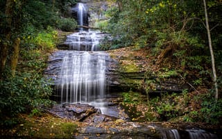 Картинка осень, листья, мох, ручей, камни, лес, США, каскад, деревья, Georgia, водопад