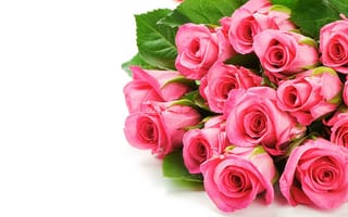 Обои цветы, букет, розы, розовый