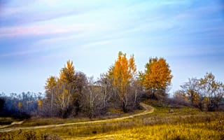 Картинка поле, природа, дорожка, autumn, field, Осень, fall, path
