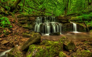 Картинка зелень, лес, мох, деревья, ручей, камни, водопад, США