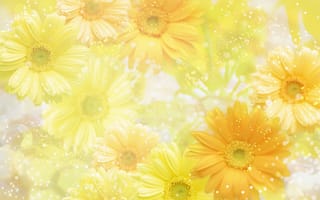 Обои цветы, yellow, желтый, flowers