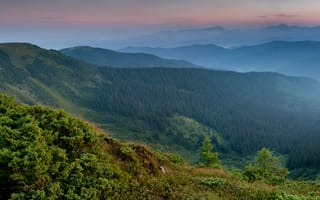 Картинка горы, панорама, Украина, лес, Карпаты, Закарпатье
