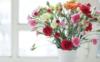 Картинка цветы, гвоздики, разные, ваза