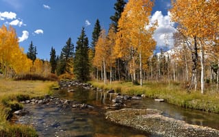 Картинка река, пейзаж, осень, деревья