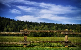 Картинка зелень, поле, green, природа, Nature, трава, field, grass