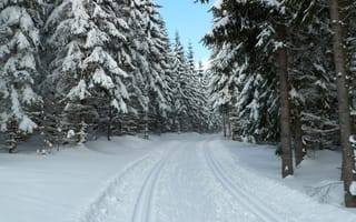 Картинка narodni park Šumava, Шумава, лес, Чехия, снег, зима, Prášily, Богемия